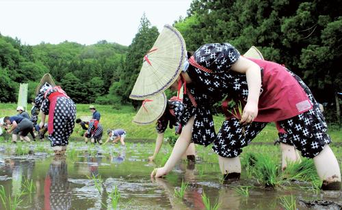 新着情報の画像