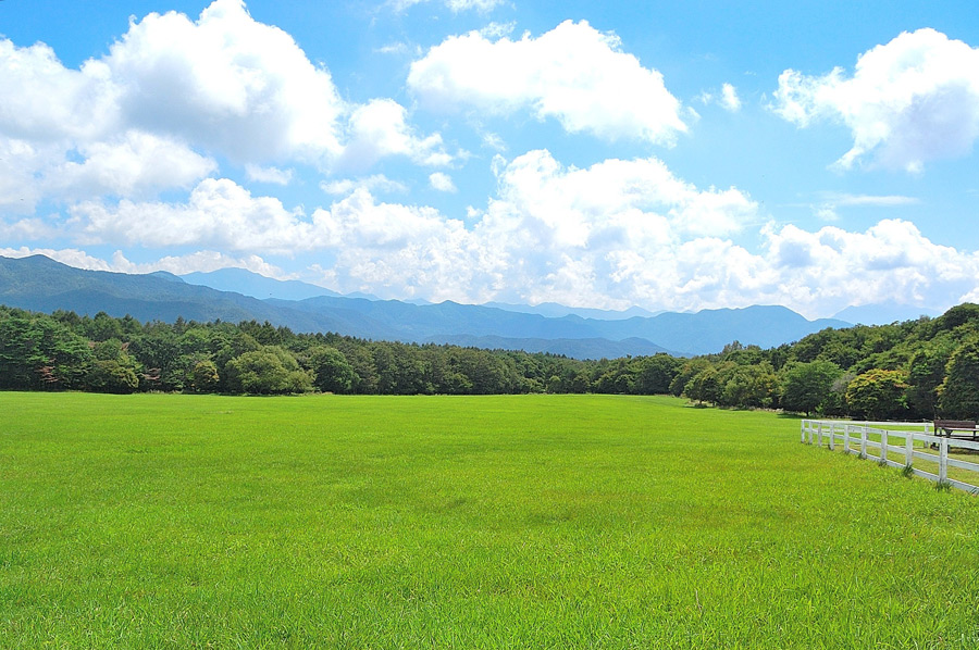 新着情報の画像